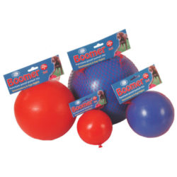 Company Of Animals Boomer Ball Dog Toy